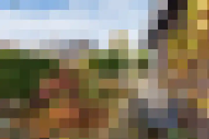 Venuslaan 82 Nieuw-Lekkerland thumbnail 34