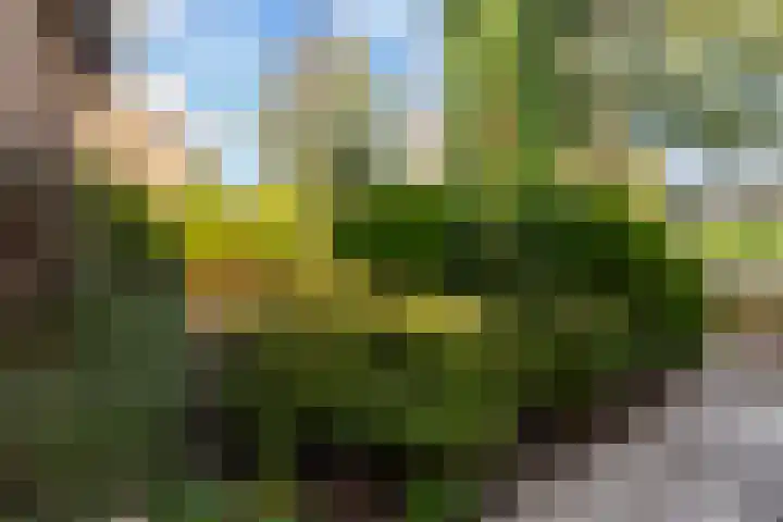 Venuslaan 82 Nieuw-Lekkerland thumbnail 36