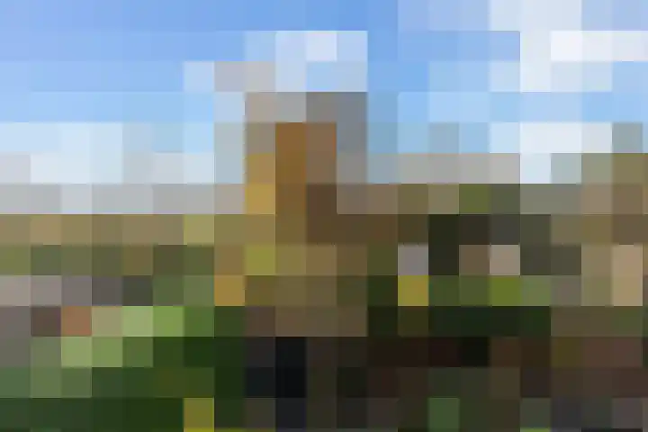 Venuslaan 82 Nieuw-Lekkerland thumbnail 37