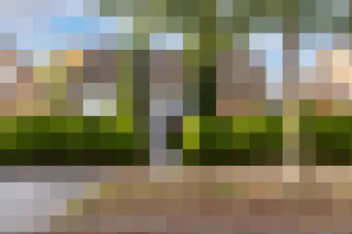 Venuslaan 82 Nieuw-Lekkerland thumbnail 38
