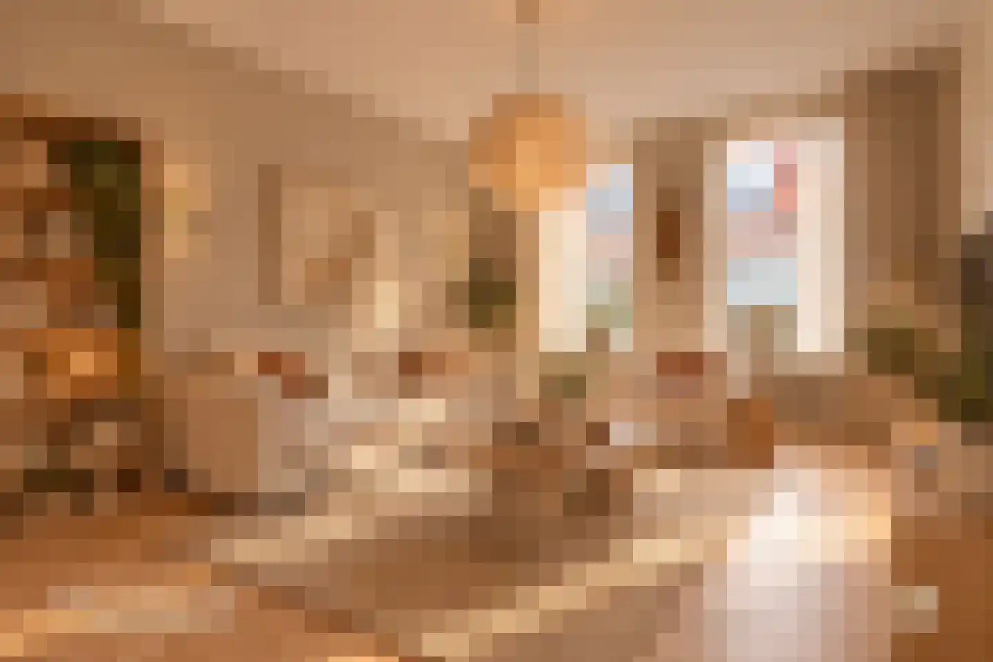 Venuslaan 85 Enkhuizen thumbnail 17