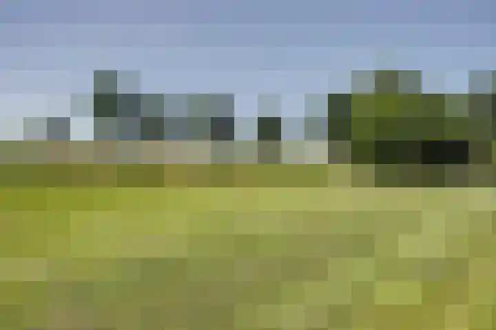 Venuslaan 90 Enkhuizen thumbnail 29