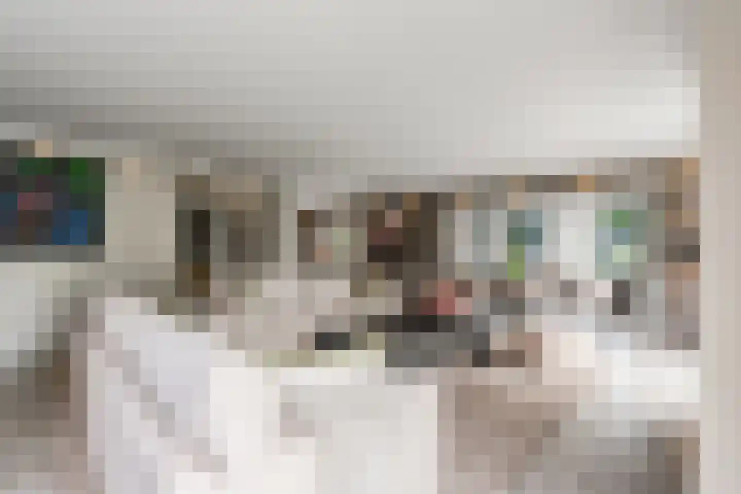 Venusschelp 9 Diemen thumbnail 12