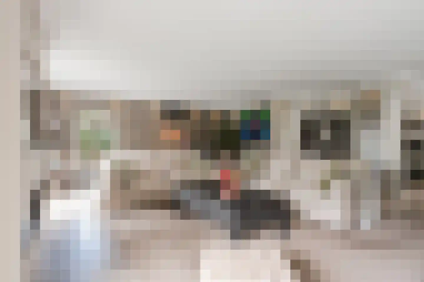 Venusschelp 9 Diemen thumbnail 14