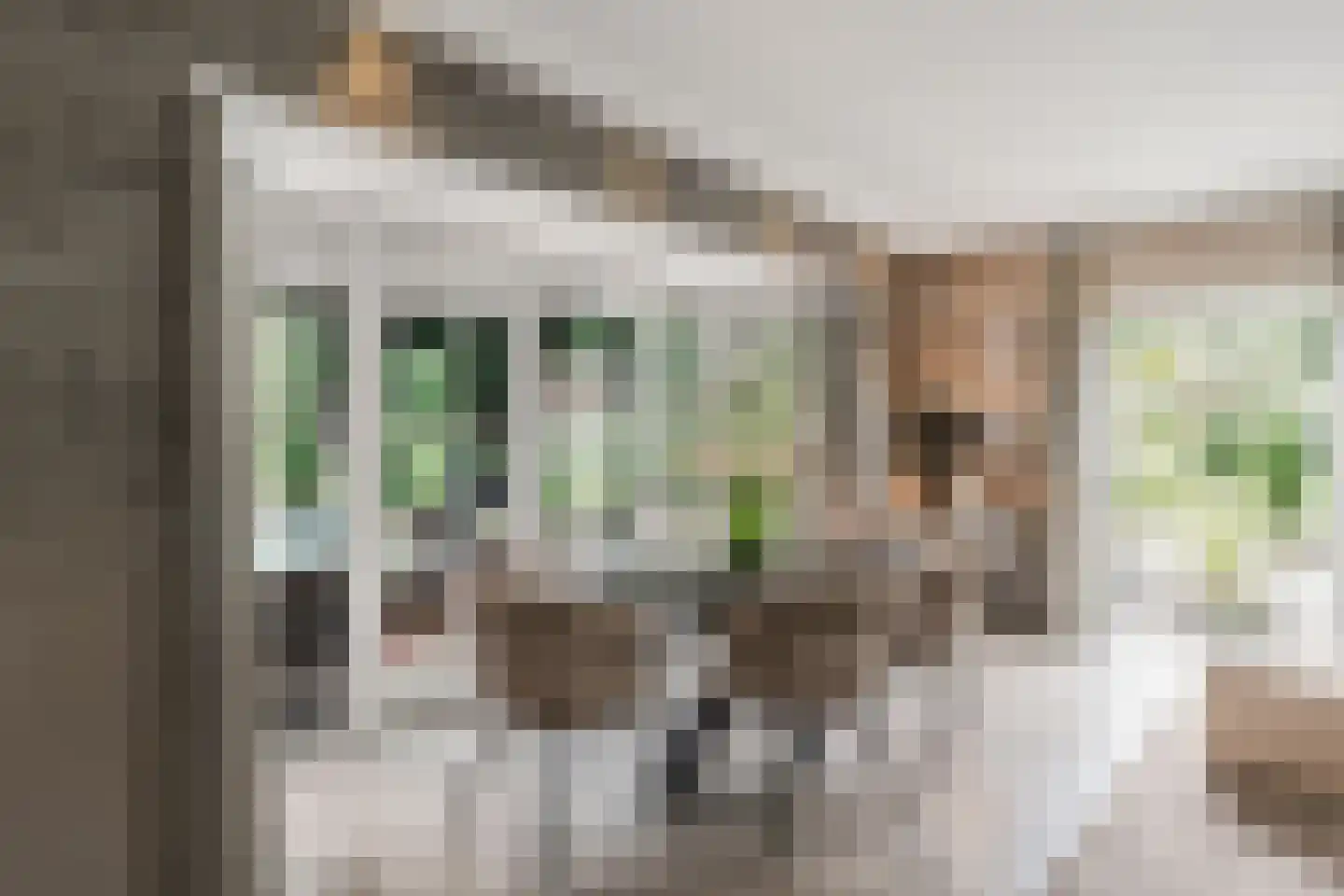 Venusschelp 9 Diemen thumbnail 17