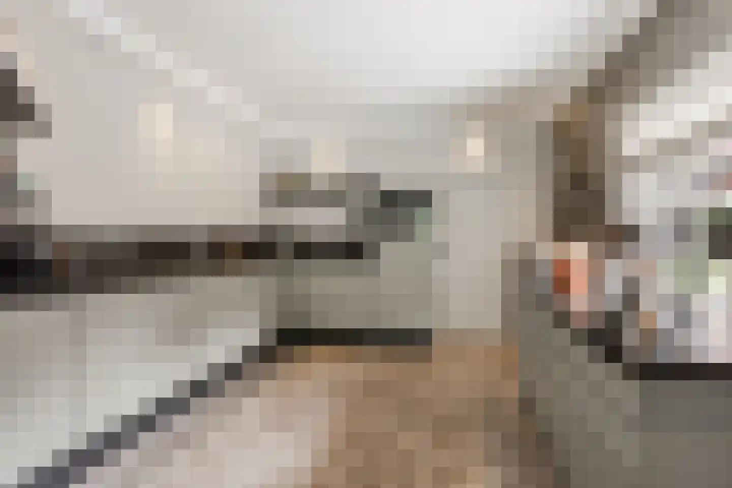 Venusschelp 9 Diemen thumbnail 20