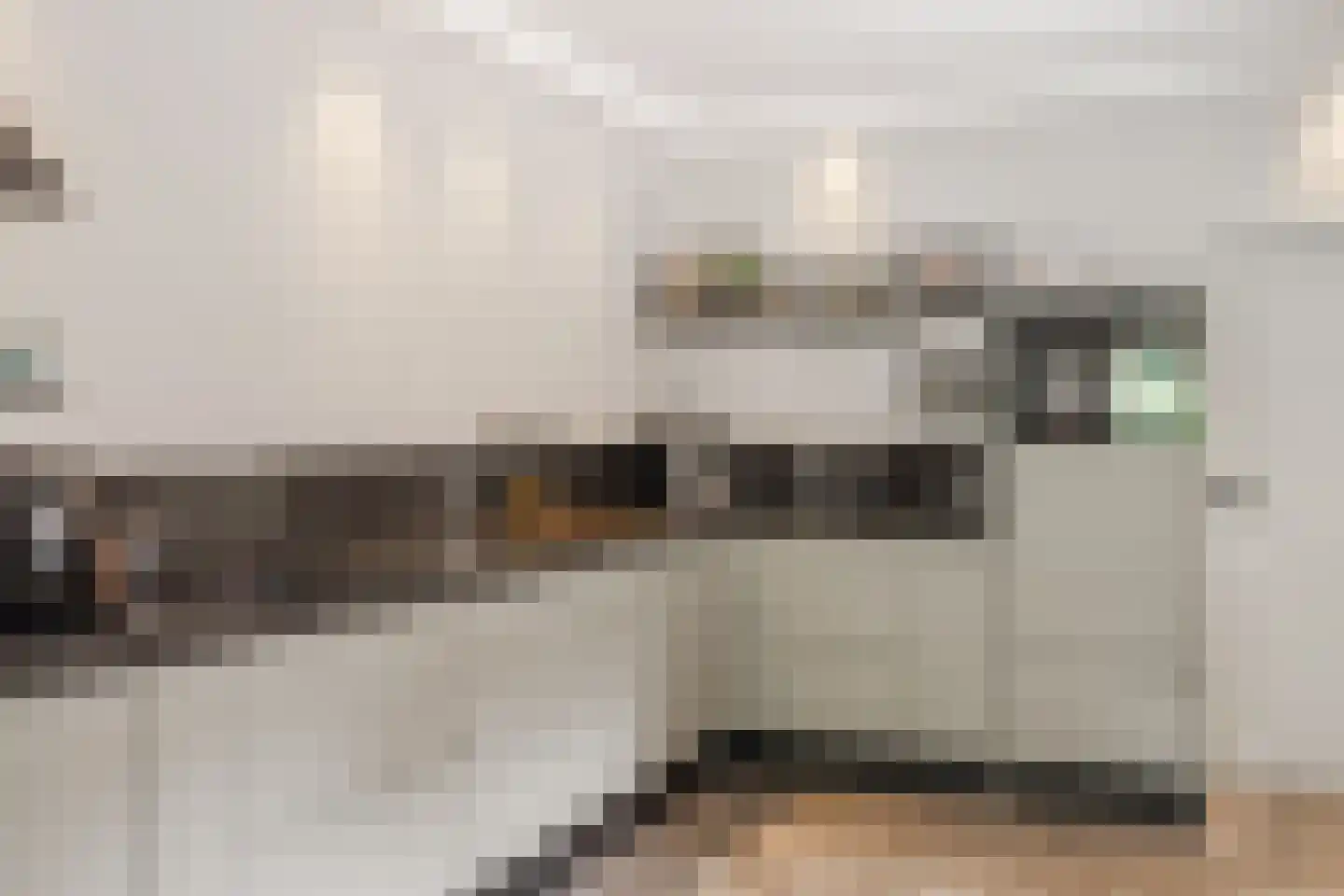 Venusschelp 9 Diemen thumbnail 21