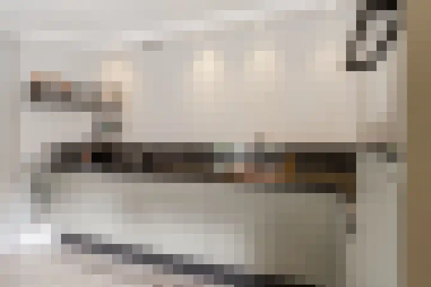 Venusschelp 9 Diemen thumbnail 22