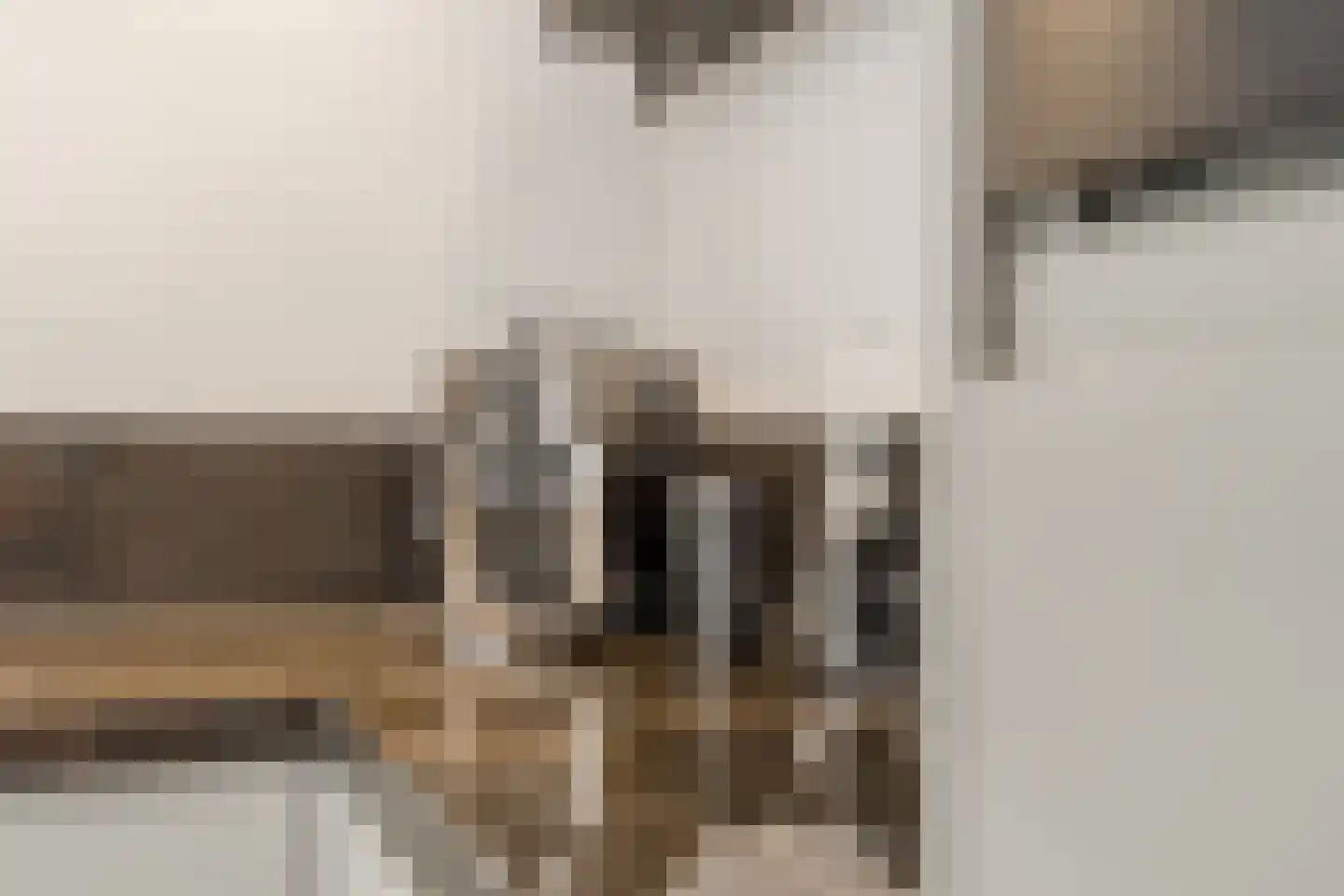 Venusschelp 9 Diemen thumbnail 25