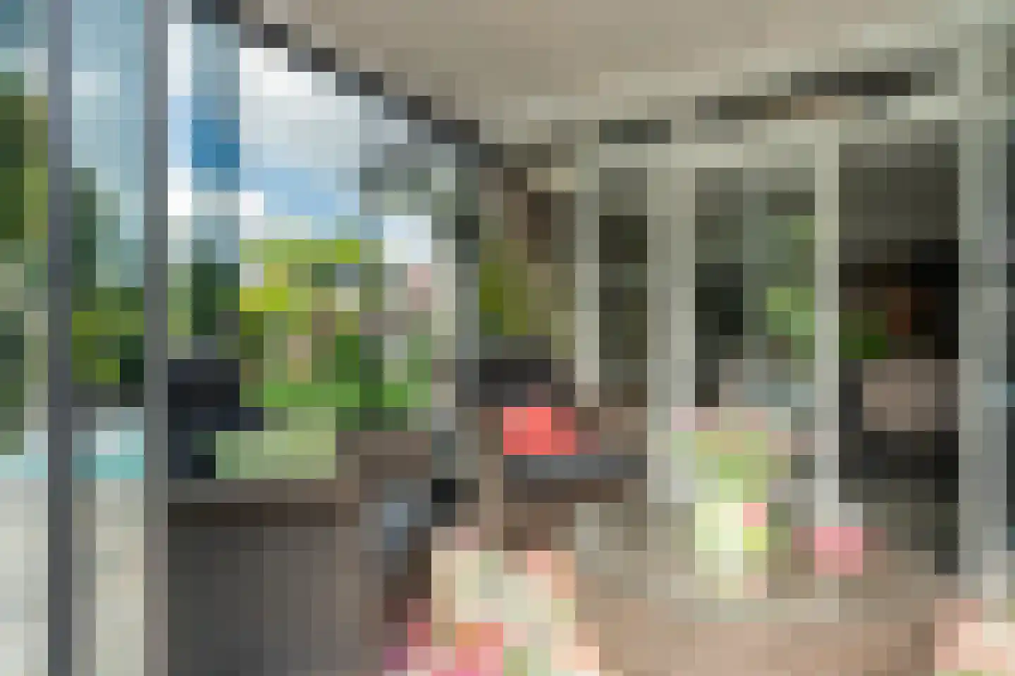 Venusschelp 9 Diemen thumbnail 29