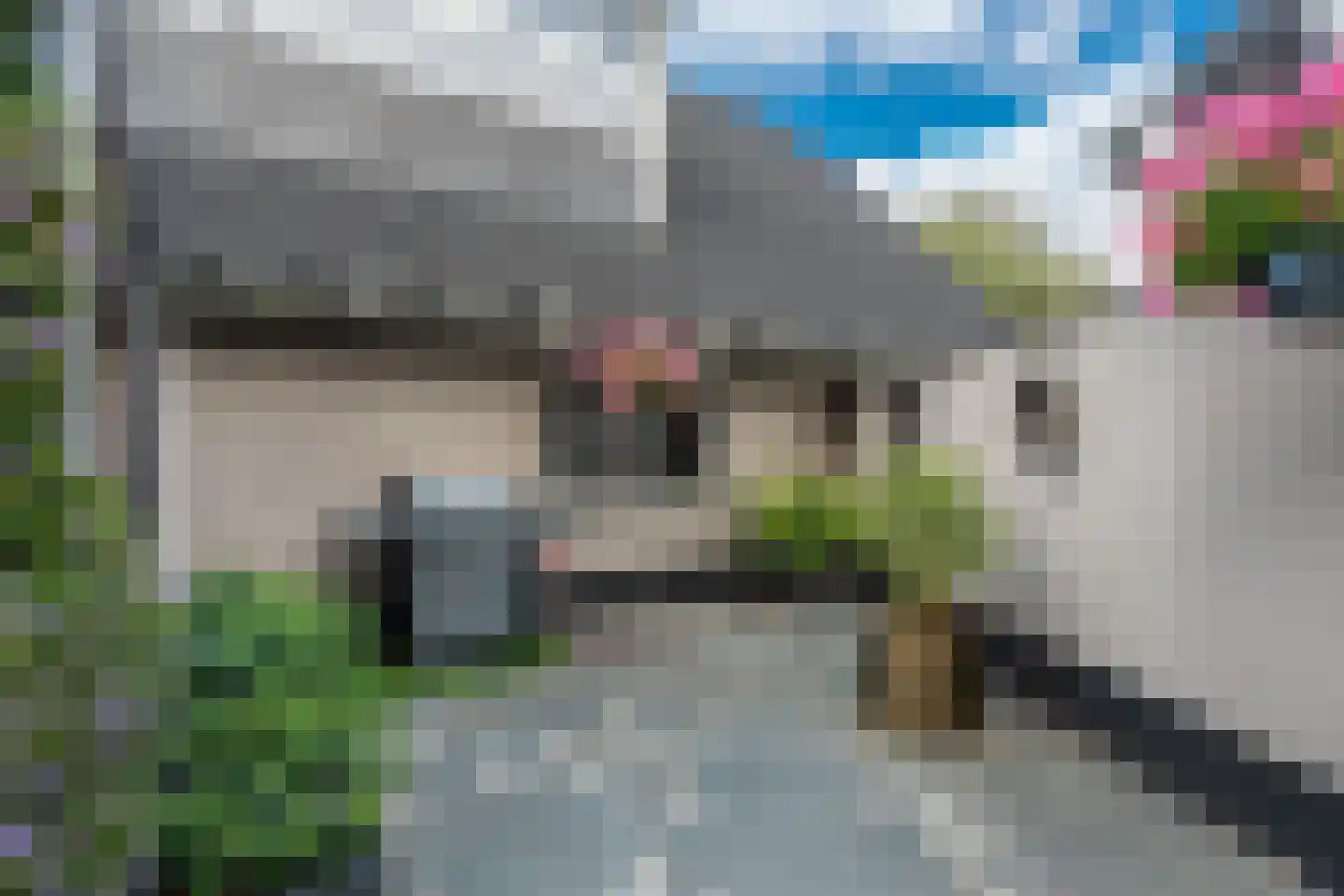 Venusschelp 9 Diemen thumbnail 31