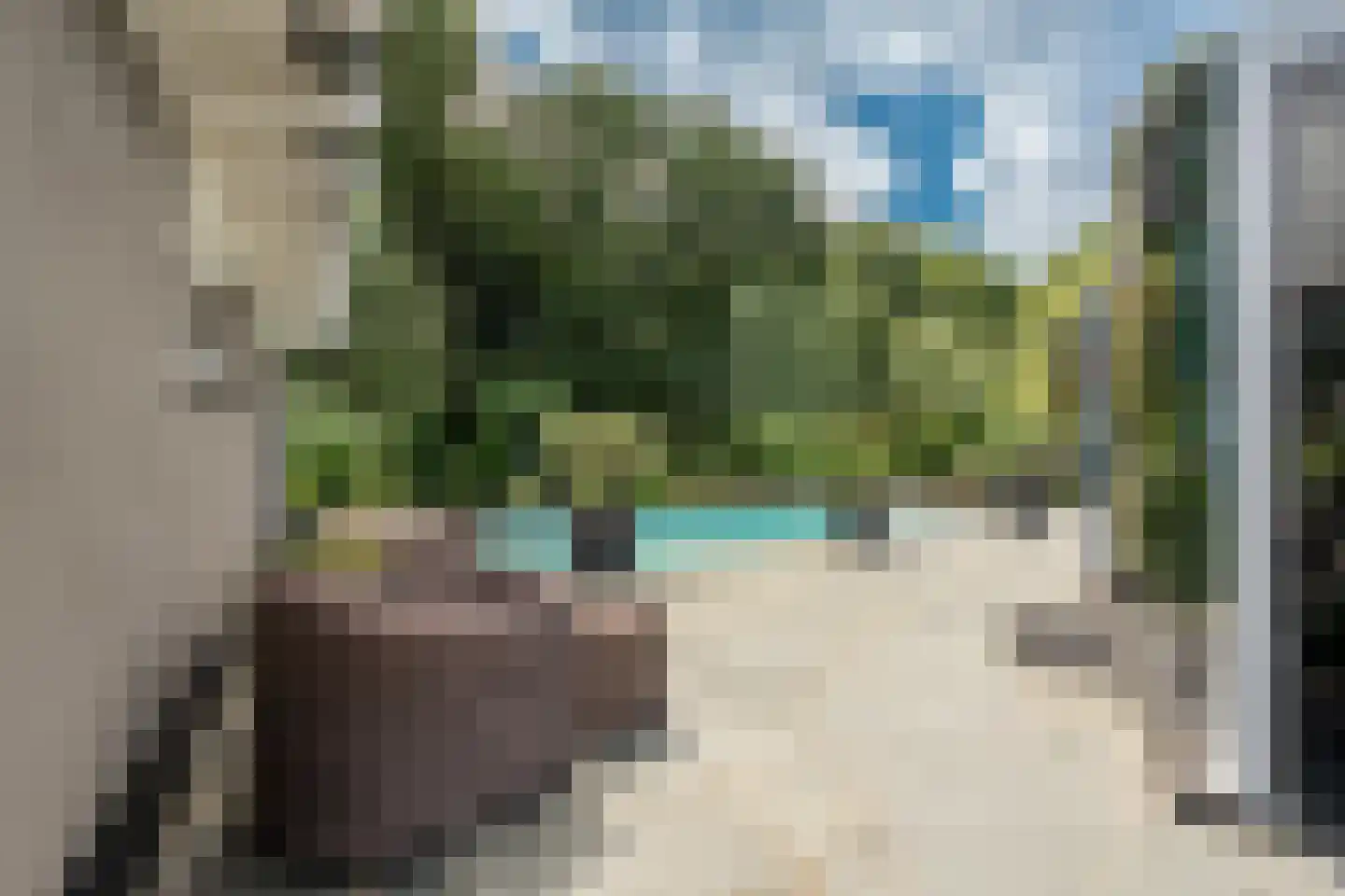Venusschelp 9 Diemen thumbnail 33