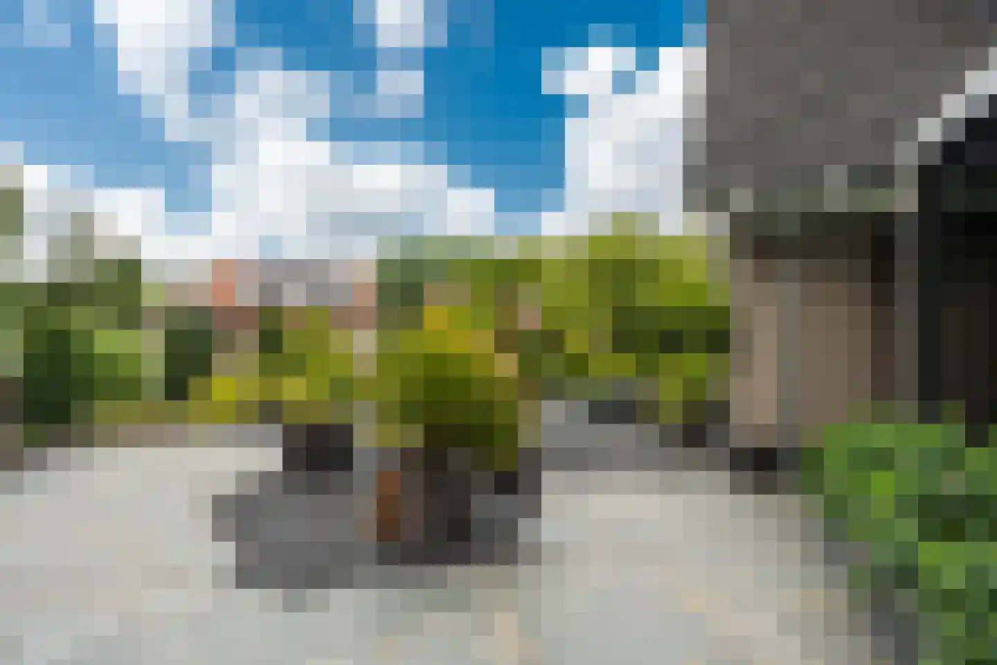Venusschelp 9 Diemen thumbnail 35