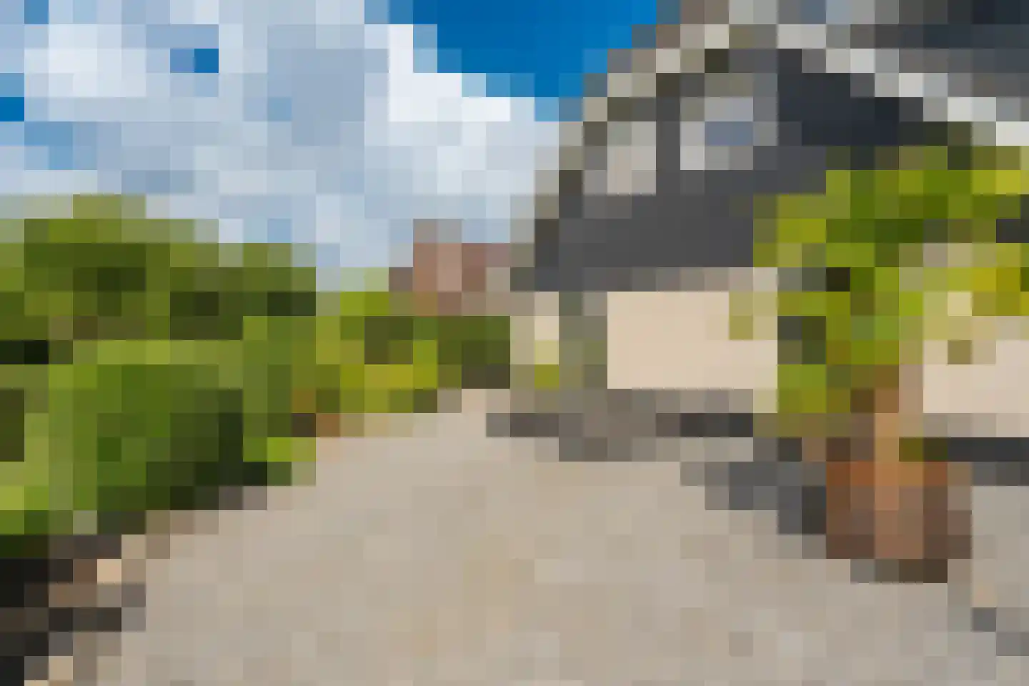 Venusschelp 9 Diemen thumbnail 38