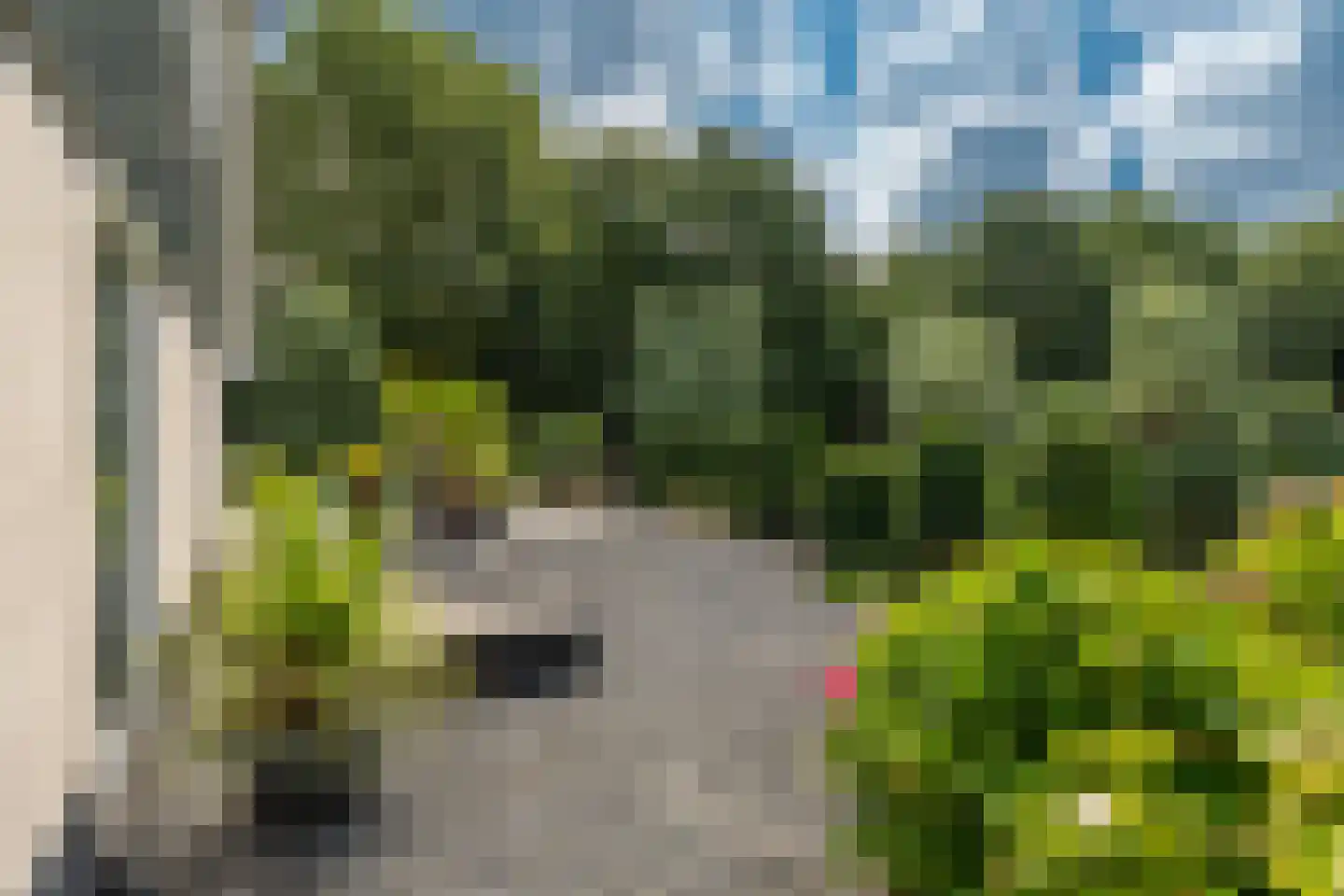 Venusschelp 9 Diemen thumbnail 39