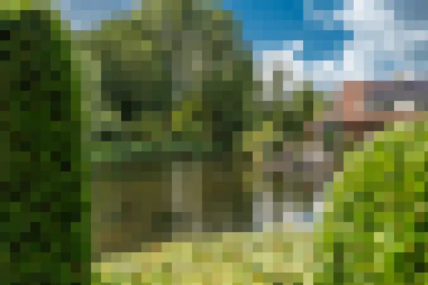 Venusschelp 9 Diemen thumbnail 40