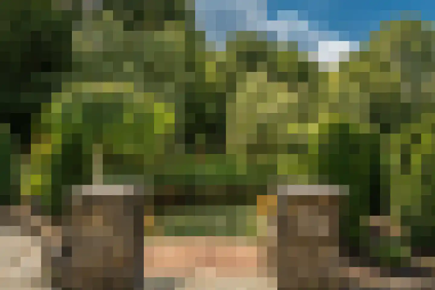 Venusschelp 9 Diemen thumbnail 43