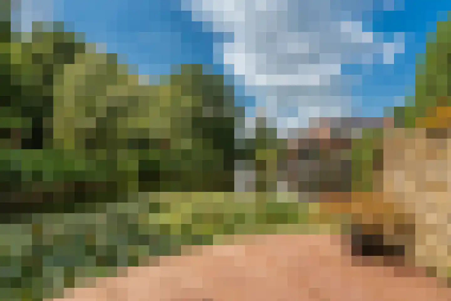Venusschelp 9 Diemen thumbnail 44