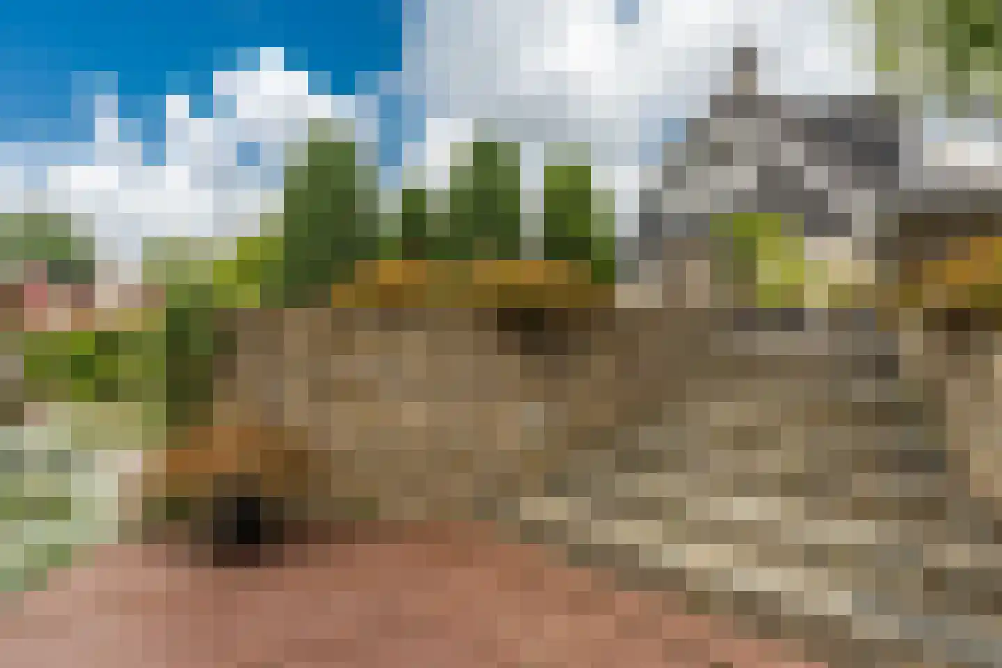 Venusschelp 9 Diemen thumbnail 45