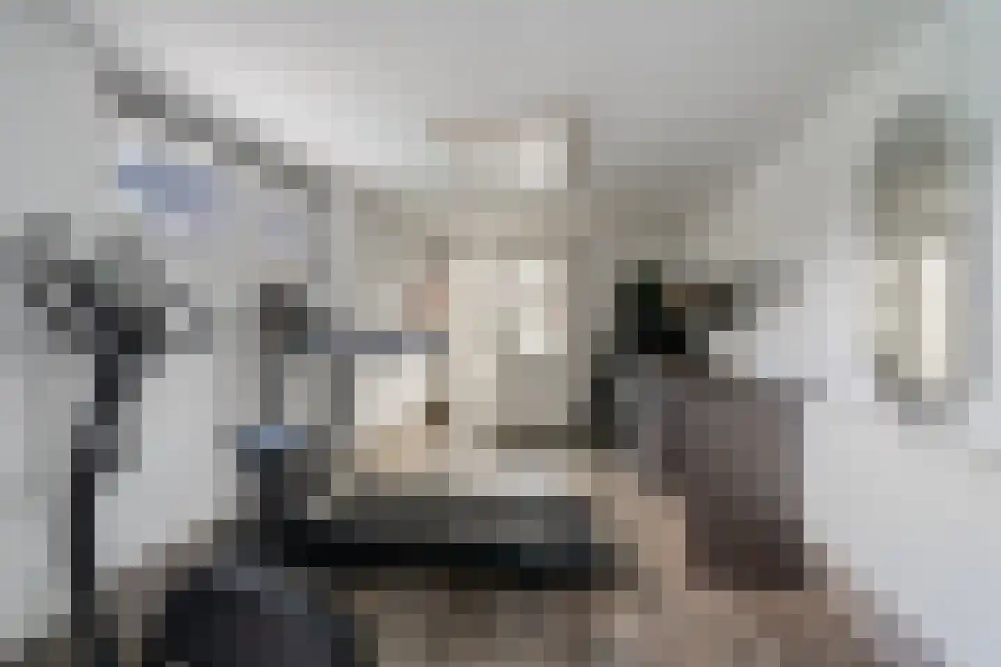 Venusschelp 9 Diemen thumbnail 48