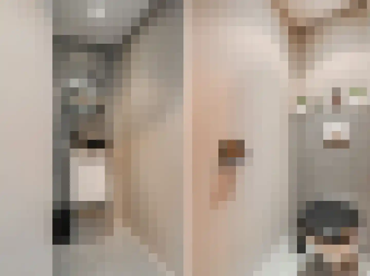 Venusschelp 9 Diemen thumbnail 51