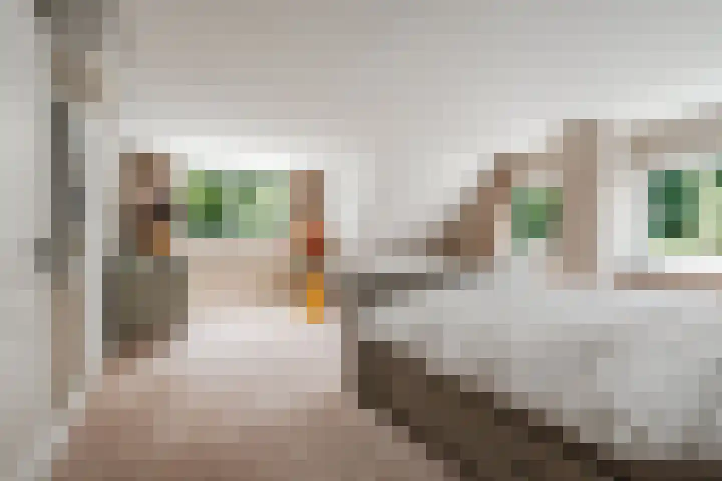 Venusschelp 9 Diemen thumbnail 54