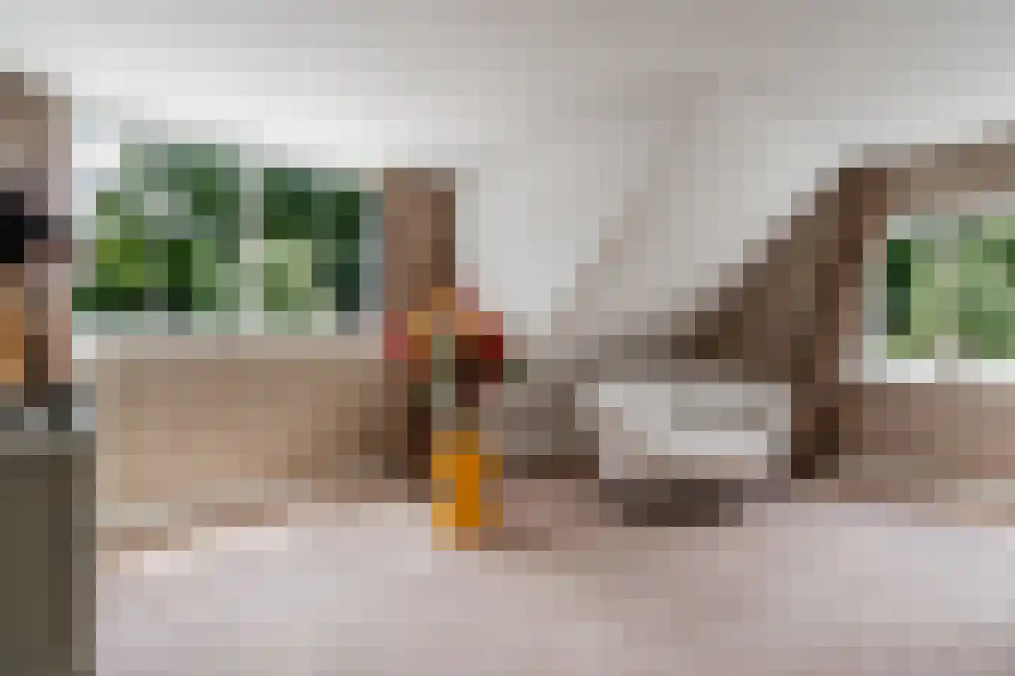 Venusschelp 9 Diemen thumbnail 55