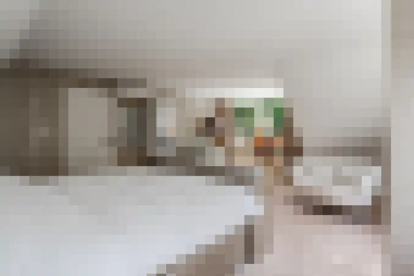 Venusschelp 9 Diemen thumbnail 56