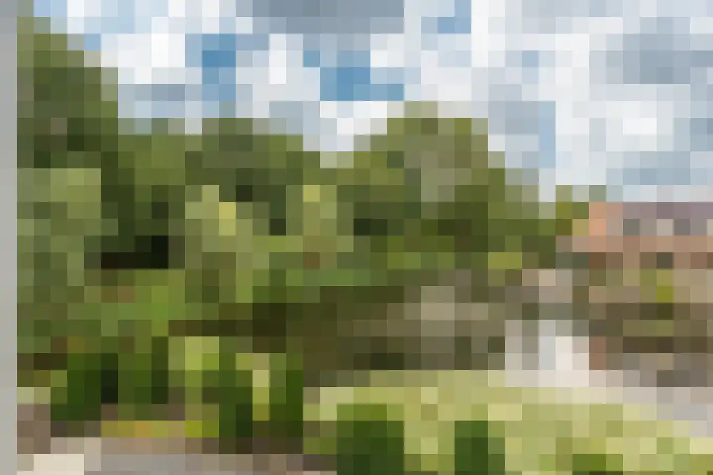 Venusschelp 9 Diemen thumbnail 57