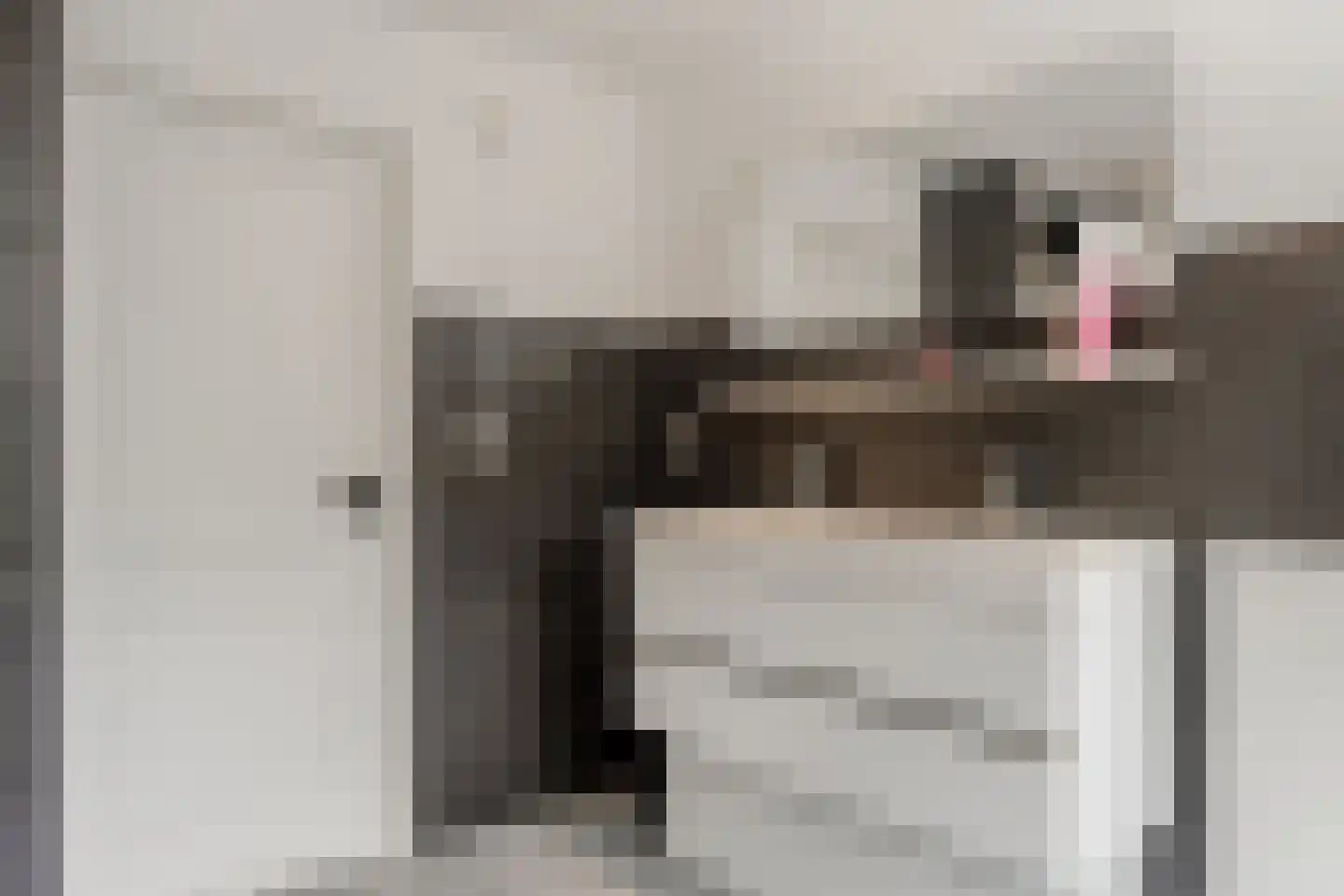 Venusschelp 9 Diemen thumbnail 65