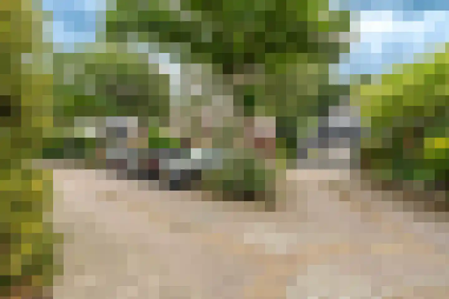 Venusschelp 9 Diemen thumbnail 69