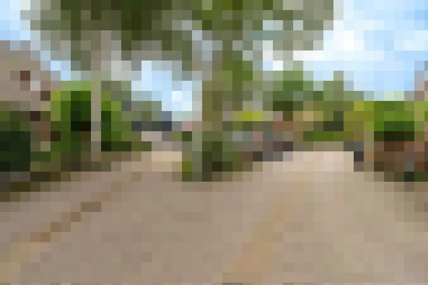 Venusschelp 9 Diemen thumbnail 70