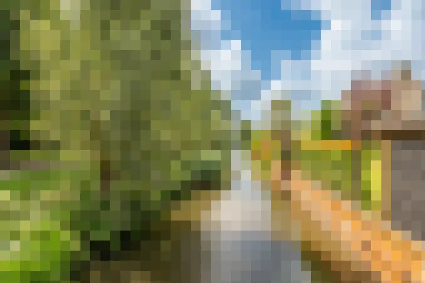 Venusschelp 9 Diemen thumbnail 71