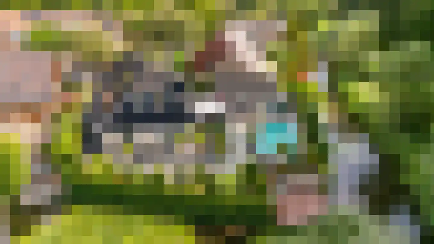 Venusschelp 9 Diemen thumbnail 73