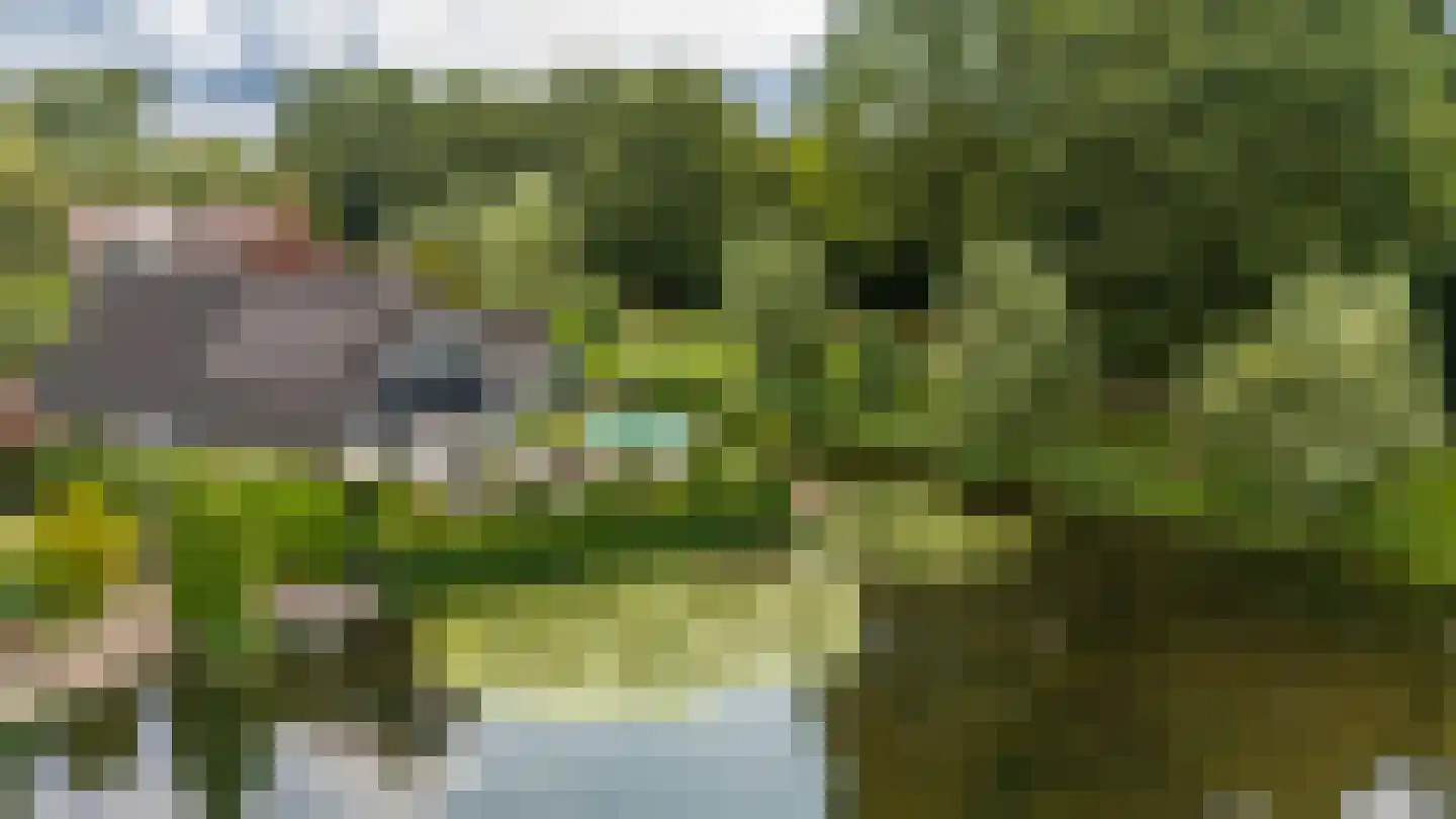 Venusschelp 9 Diemen thumbnail 75