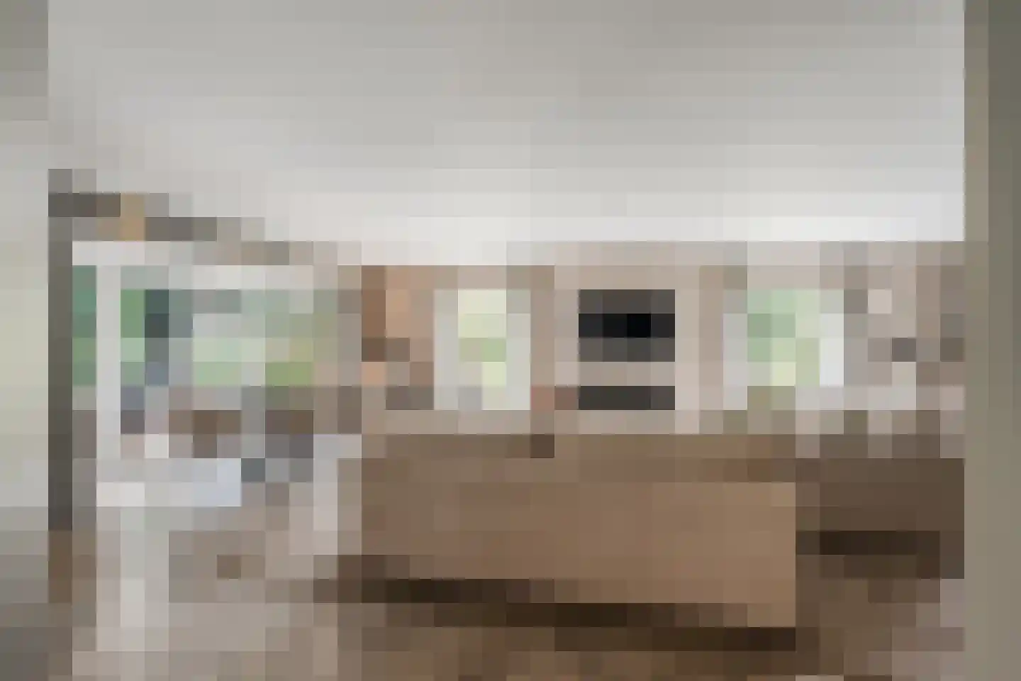 Venusschelp 9 Diemen thumbnail 8