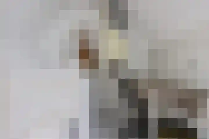 Venusskulp 26 Stiens thumbnail 35
