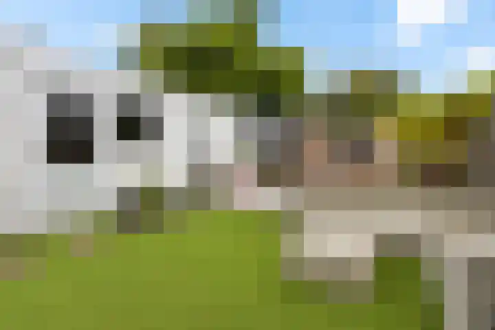 Venusskulp 26 Stiens thumbnail 41