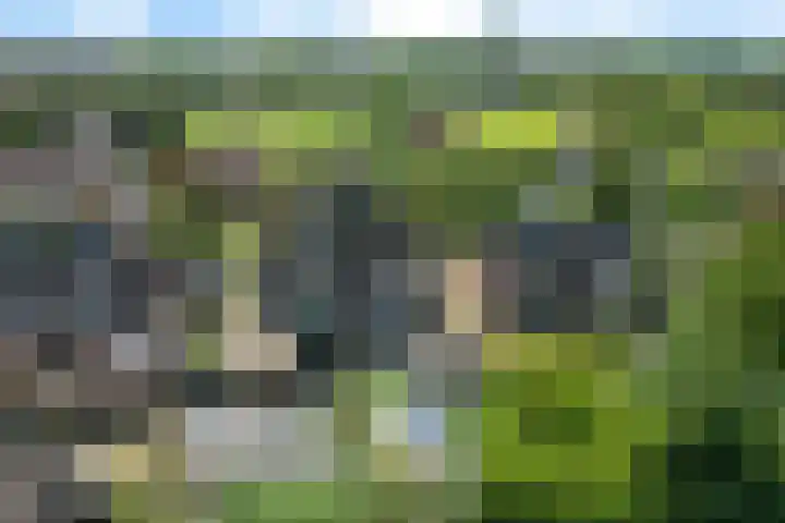Venusskulp 26 Stiens thumbnail 45
