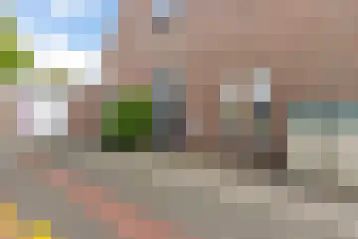 Venusskulp 26 Stiens thumbnail 6