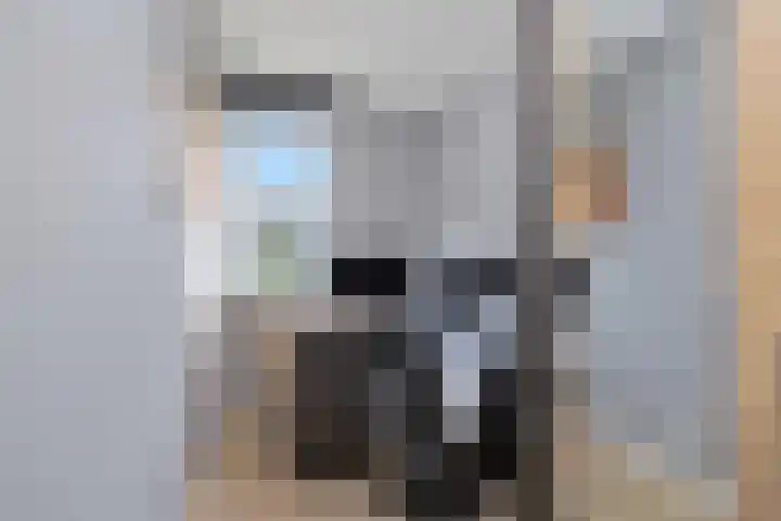 Venusstraat 110 Alphen aan den Rijn thumbnail 32
