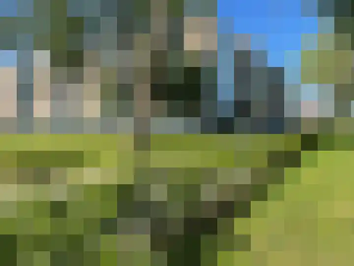 Venusstraat 124 Alphen aan den Rijn thumbnail 17
