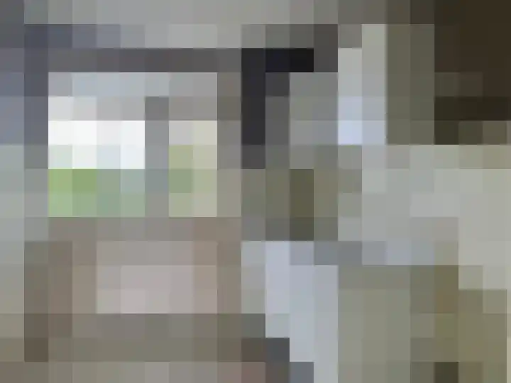 Venusstraat 124 Alphen aan den Rijn thumbnail 4
