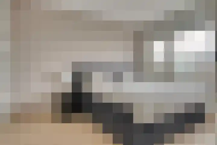 Venusstraat 15 Zwijndrecht thumbnail 25