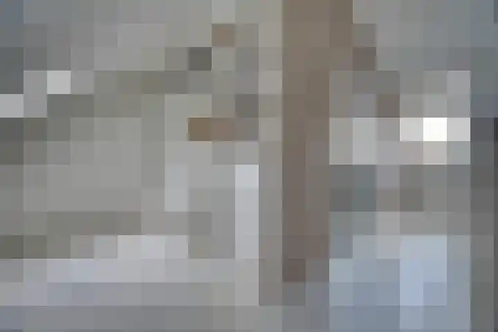 Venusstraat 15 Zwijndrecht thumbnail 32