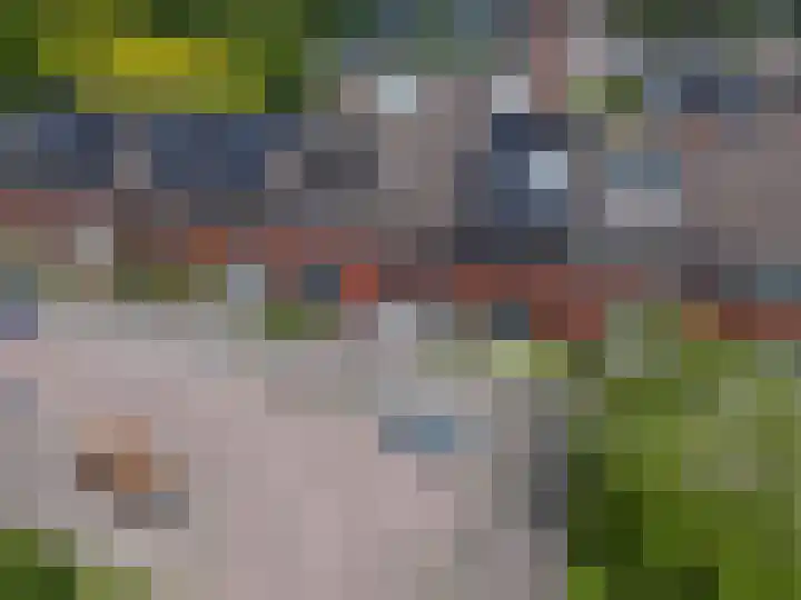 Venusstraat 15 Zwijndrecht thumbnail 47