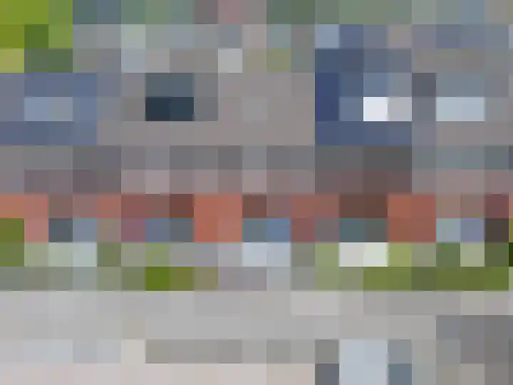 Venusstraat 15 Zwijndrecht thumbnail 5