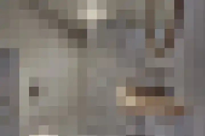 Venusstraat 16 Emmeloord thumbnail 22