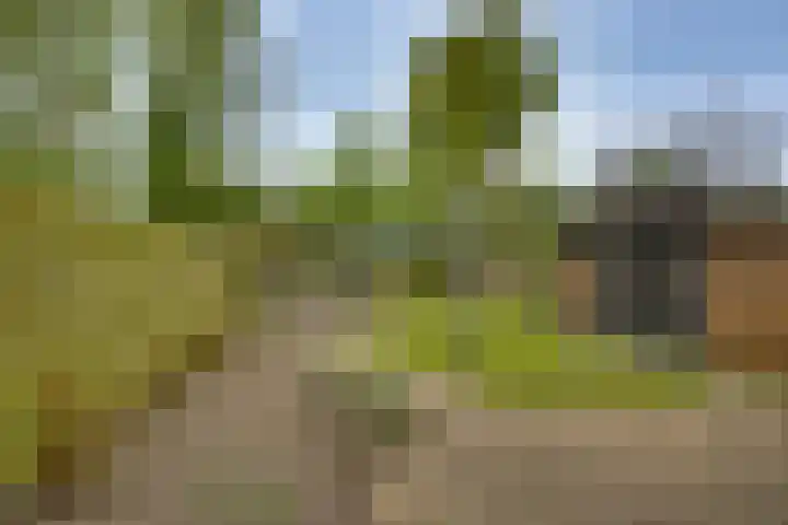Venusstraat 16 Emmeloord thumbnail 29