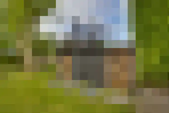 Venusstraat 16 Emmeloord thumbnail 30